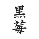 ݮС˵app