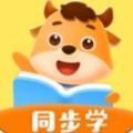 Сţ鷿