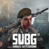 SUBGİ