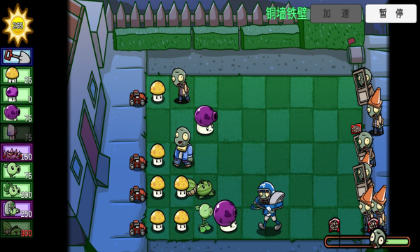 pvzBT°_լլܲpvzBT°