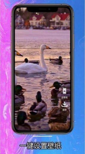 Լֽapp_Լֽapp׿