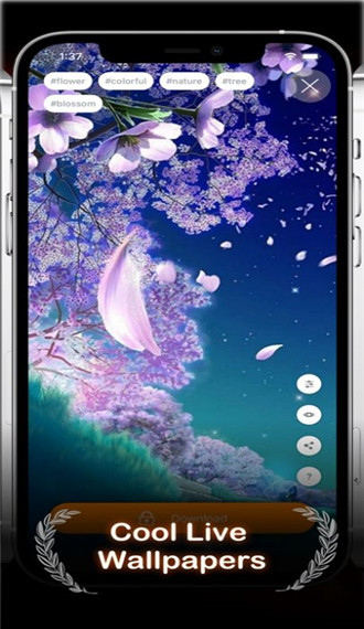 AirLive_AirLiveֽ