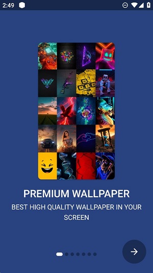Walli fly_Walli flyֻ