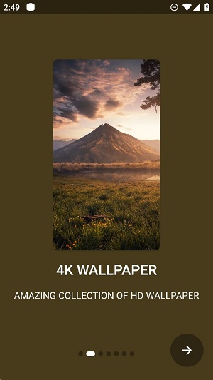 Walli fly_Walli flyֻ