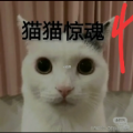 è侪4̬ͷ