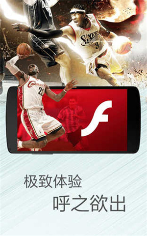 flash汾_flash V11.3.1 ׿