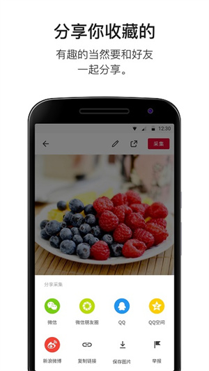 app_°