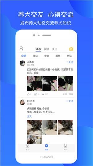 Ȯʿapp°_Ȯʿapp׿