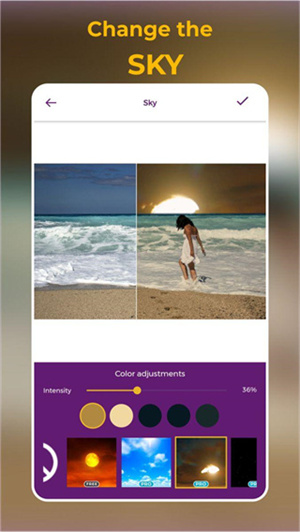 Zoetropic_Zoetropic