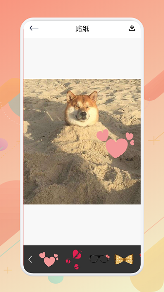 ׿_׿app