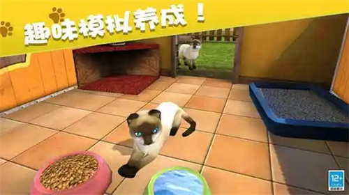 ҵĶ_ҵĶ׿