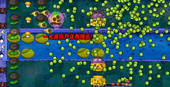 pvz˫ֻ_pvz˫°汾