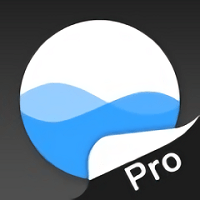 ȫϫpro