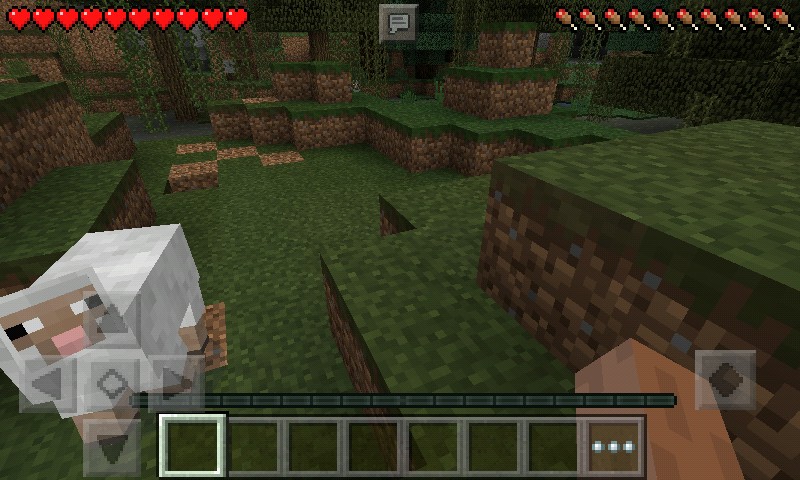 minecraft Java_minecraft Java°