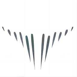 ţ