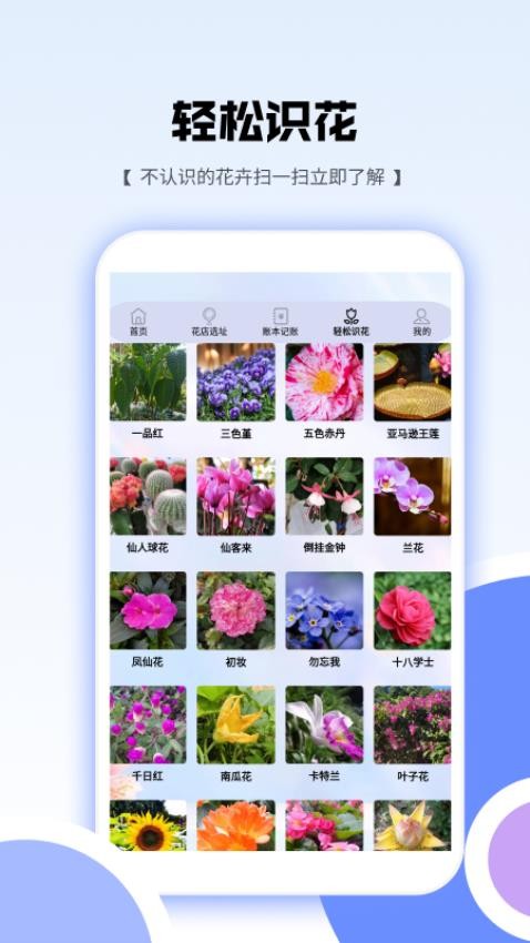 䰮_䰮ֻ