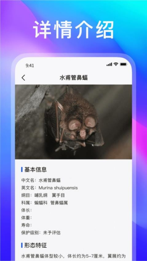 _簲׿
