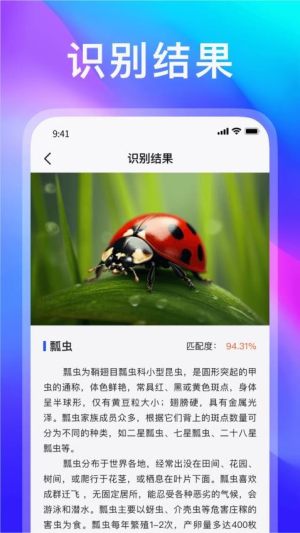 _簲׿
