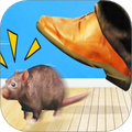 ģ