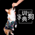 ѵ