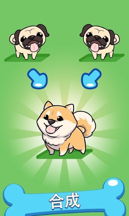 merge dogs_merge dogsİ