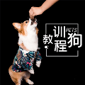 ѵ̴̳ȫ