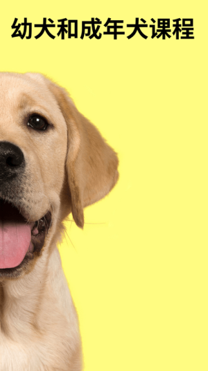 everydoggy_everydoggyֻ