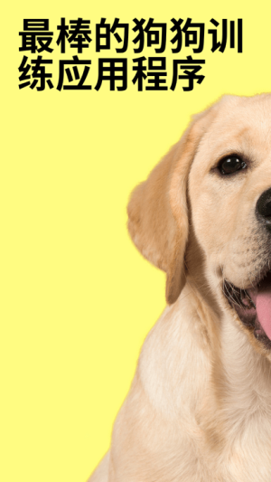 everydoggy_everydoggyֻ
