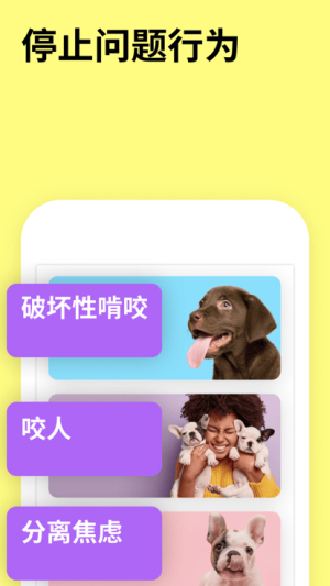 everydoggy_everydoggyֻ