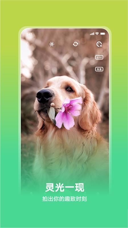 Ȥapp_Ȥ v1.0.0 ֻ