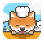 Ȯ곤Ŀ