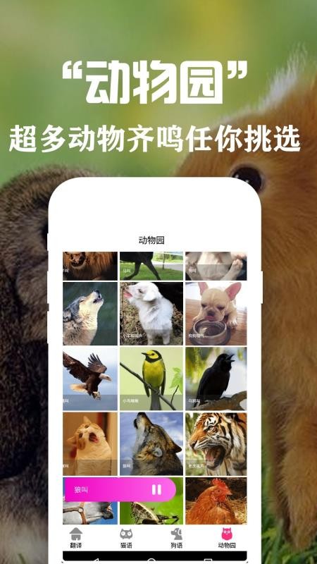 ﷭뽻app_﷭뽻 v1.1 ׿