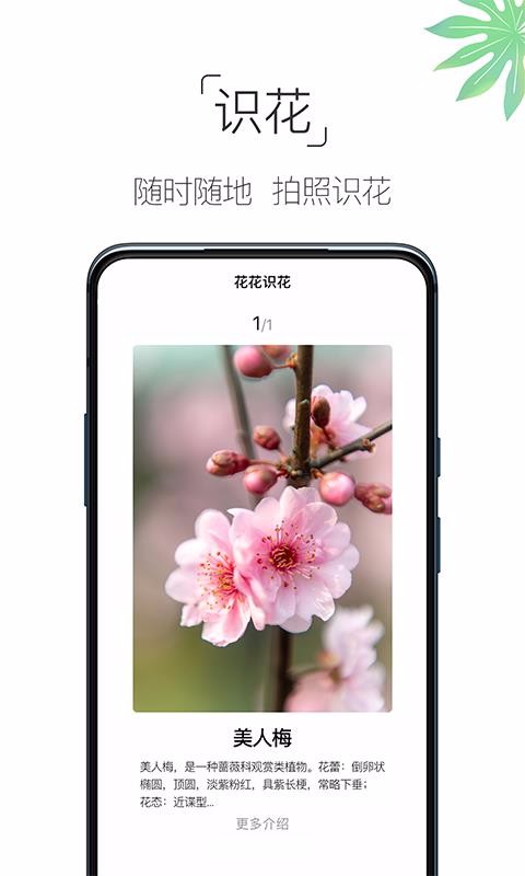 ȫapp_ȫ v4.2.5 ֻ
