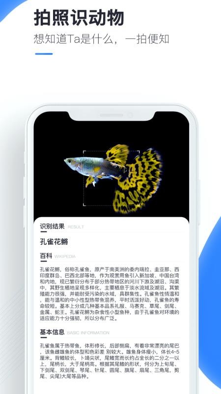 ٿɨapp_ٿɨ v 1.0.1 ֻ