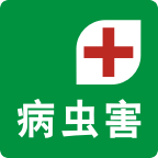 溦
