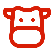ţ
