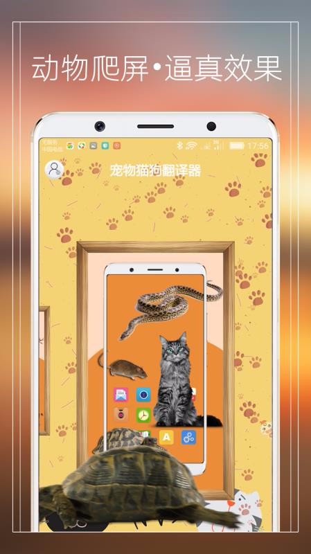 èapp_è v2.1 ֻ