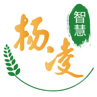 ǻ