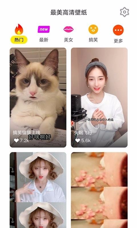 ֽapp_ֽ v1.0.0 ׿