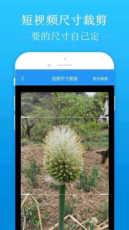ȥˮӡapp_ȥˮӡ v1.6.9 ׿