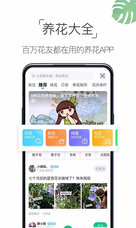 ȫapp_ȫ v4.2.5 ֻ