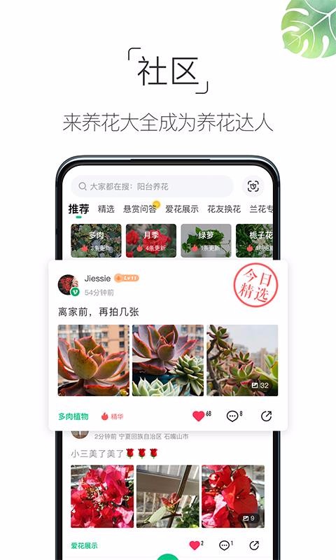ȫapp_ȫ v4.2.5 ֻ