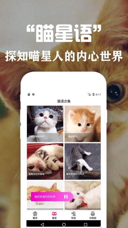 ﷭뽻app_﷭뽻 v1.1 ׿