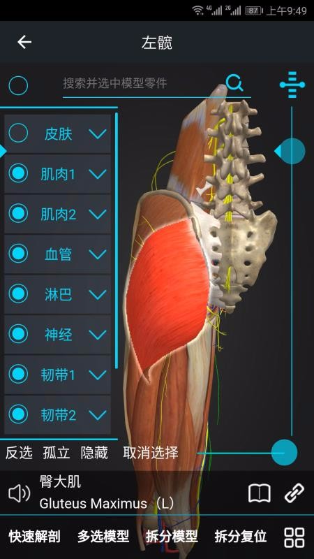 ҽάapp_ҽά v1.5.5 ׿