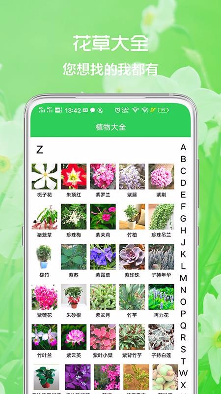 ռapp_ռ v1.0.0 ֻ