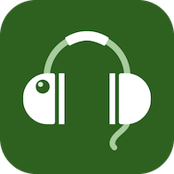 BBCӢ