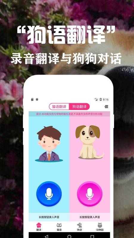 ﷭뽻app_﷭뽻 v1.1 ׿