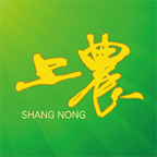 ũ