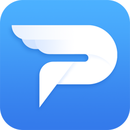 PDFת