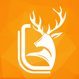 Ⱥ¹
